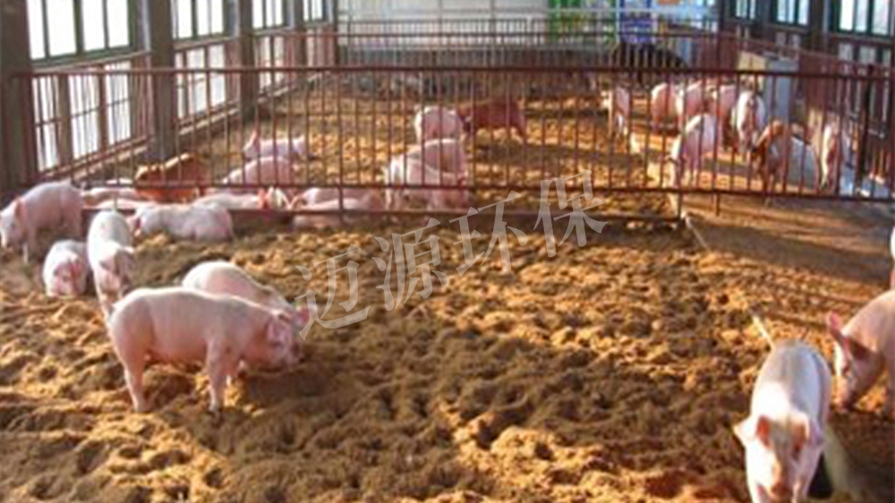 养猪场污水处理方案